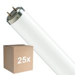Voordeelpak 25x Philips T8 Flexo print 40W | 60cm - UVA