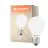 Ledvance Classic LED E27 Peer Filament Mat 7.5W 1055lm - 840 Koel Wit | Vervangt 75W