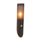 Eglo Wandlamp Helsinki Roestvrij Staal Bruin | IP55 - Geschikt voor 1x E27 - Bewegingssensor