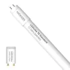 Noxion LED Buis T8 Avant (EM/Mains) Standard Output 15W 1800lm - 865 Daglicht | 120cm - Vervangt 36W