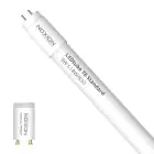 Noxion LED Buis T8 Avant (EM/Mains) Standard Output 7.5W 900lm - 830 Warm Wit | 60cm - Vervangt 18W